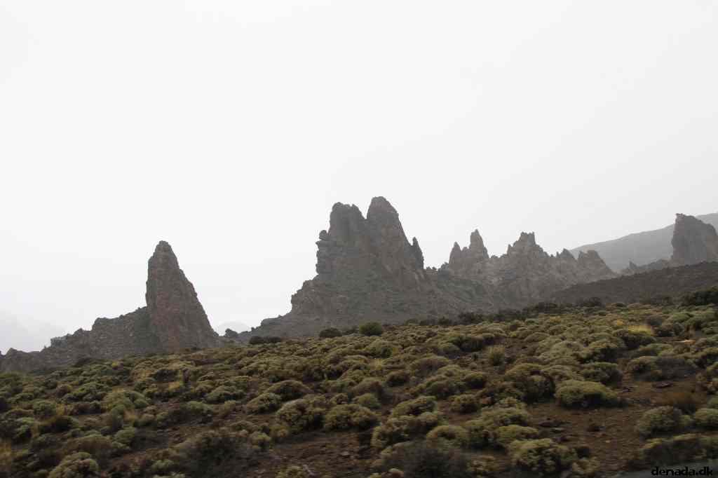 * Image 13