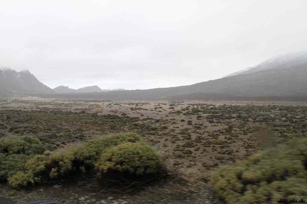 * Image 17