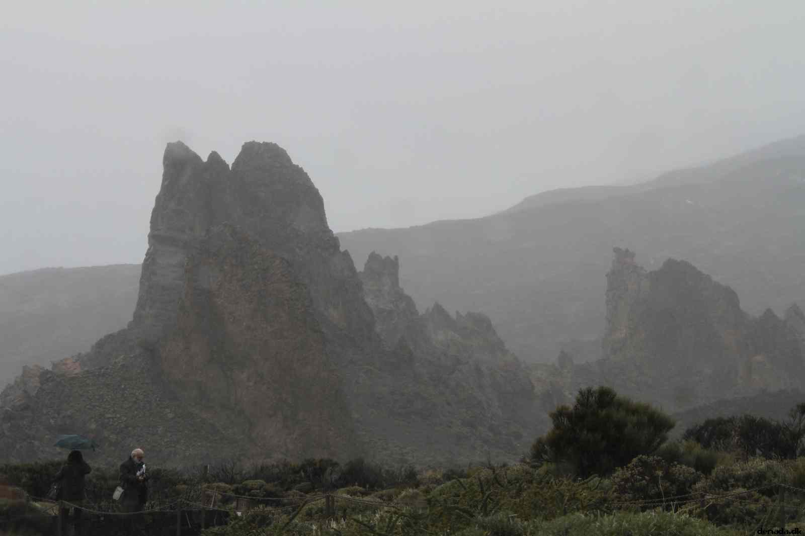 * Image 14