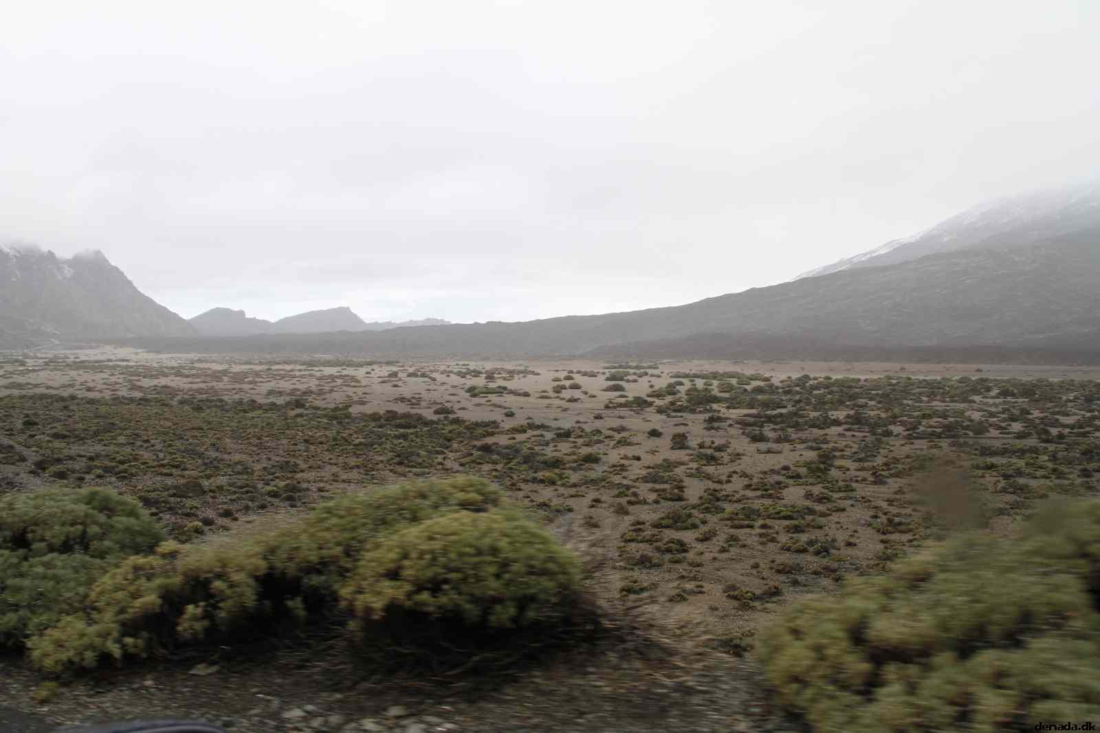 * Image 17