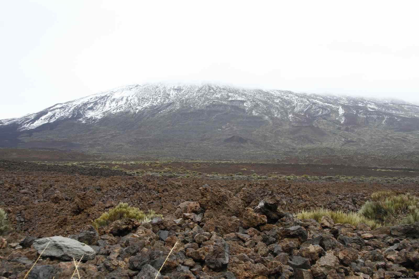 * Image 18
