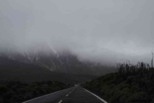 * Image 11