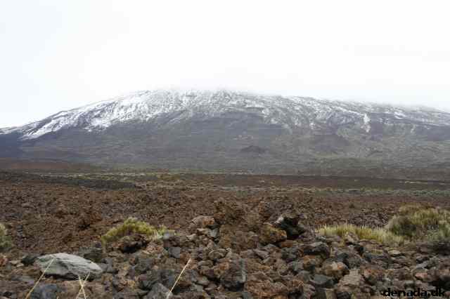 * Image 18