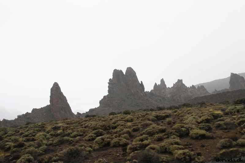 * Image 13