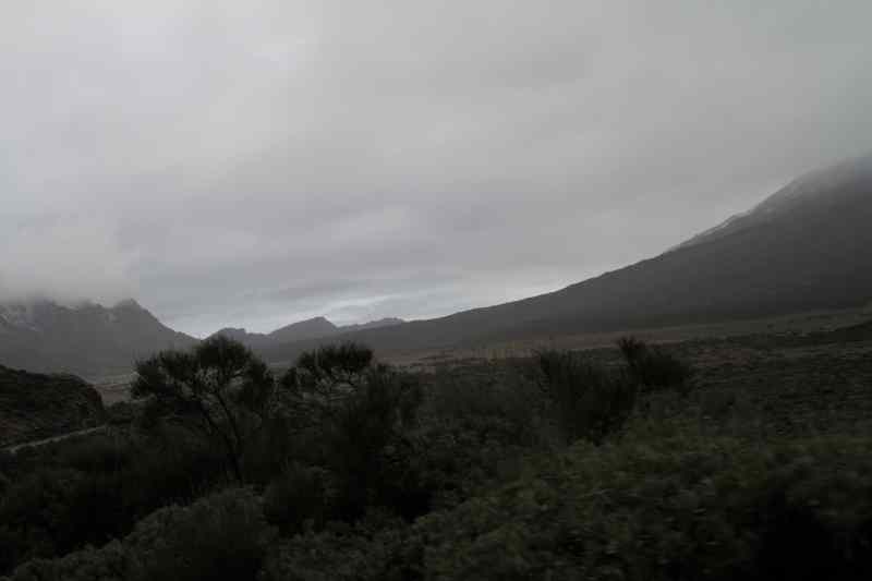* Image 16