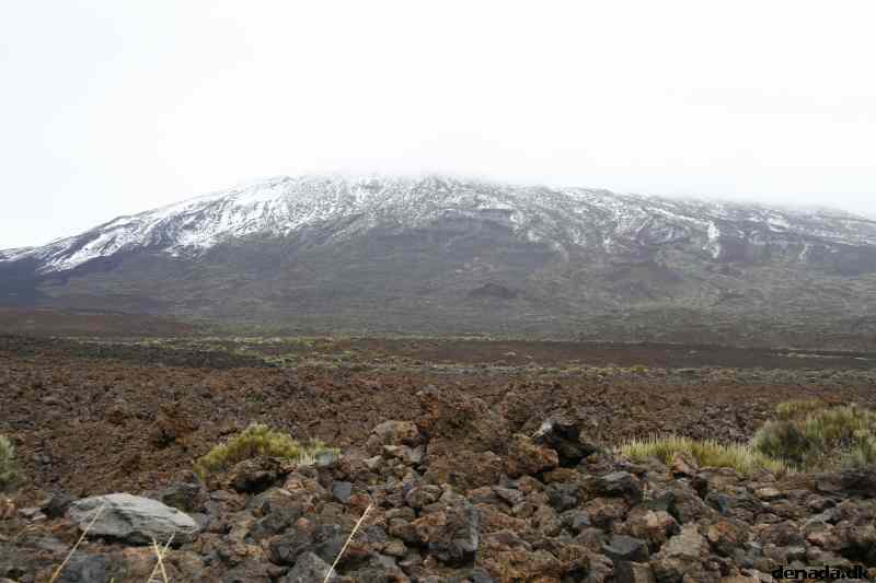 * Image 18