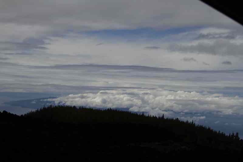 * Image 19