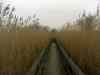 DSC00554m.jpg - 2011:02:28 12:57:49