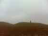 DSC00558m.jpg - 2011:02:28 13:32:00