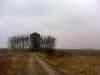 DSC00561m.jpg - 2011:02:28 13:52:11