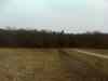 DSC00566m.jpg - 2011:02:28 15:08:38