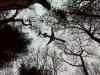 DSC00572m.jpg - 2011:02:28 16:15:30