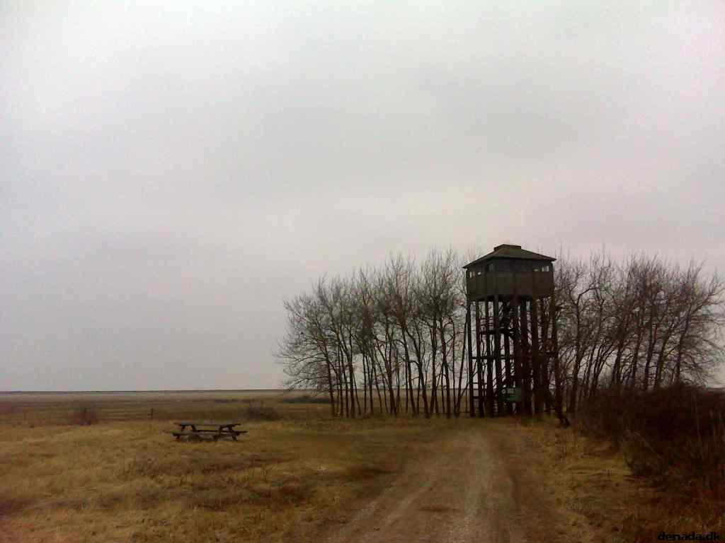 * Image 8
