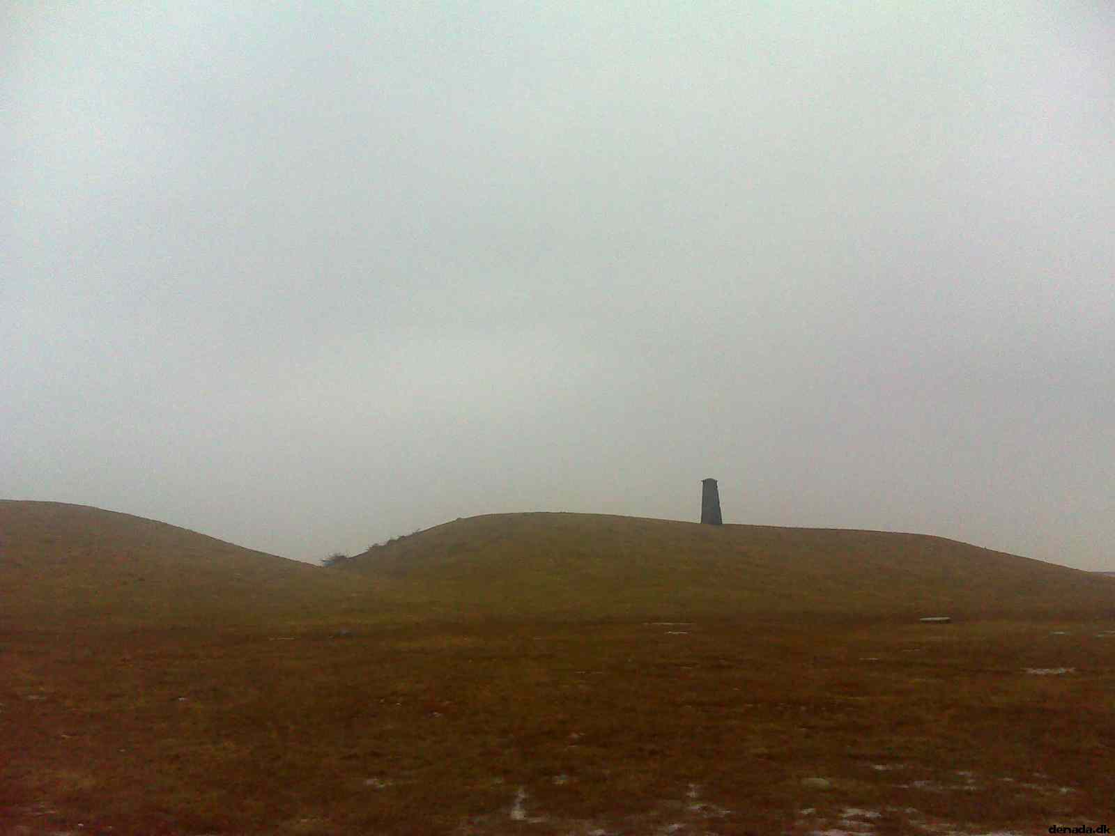 * Image 5