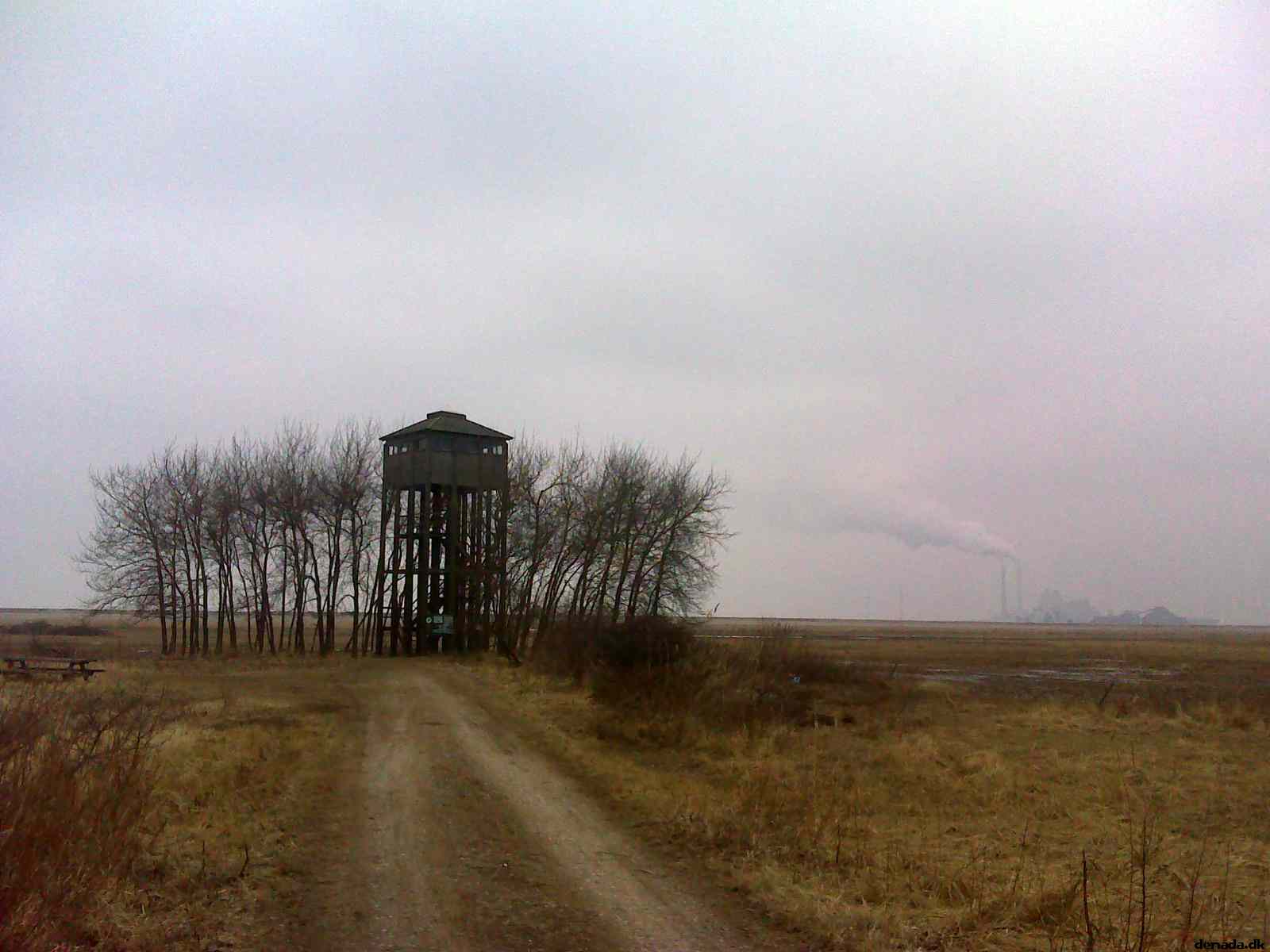 * Image 7