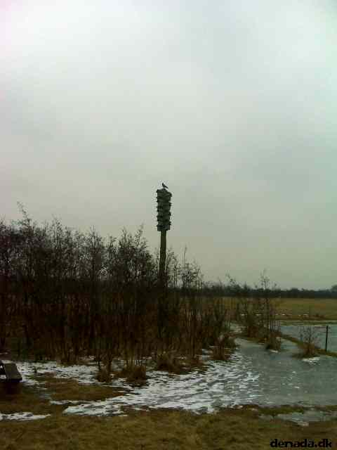 * Image 4