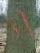 DSC00571m.jpg - 2011:02:28 15:52:07