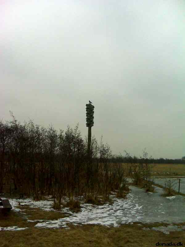 * Image 4