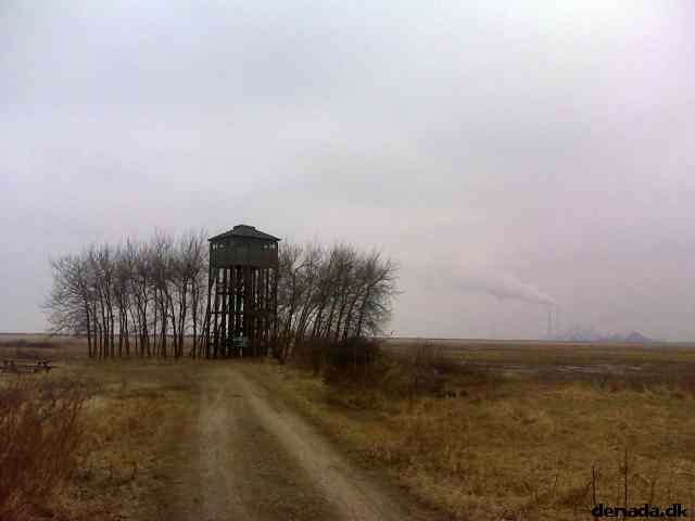 * Image 7