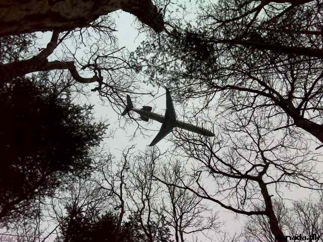 * Image 14