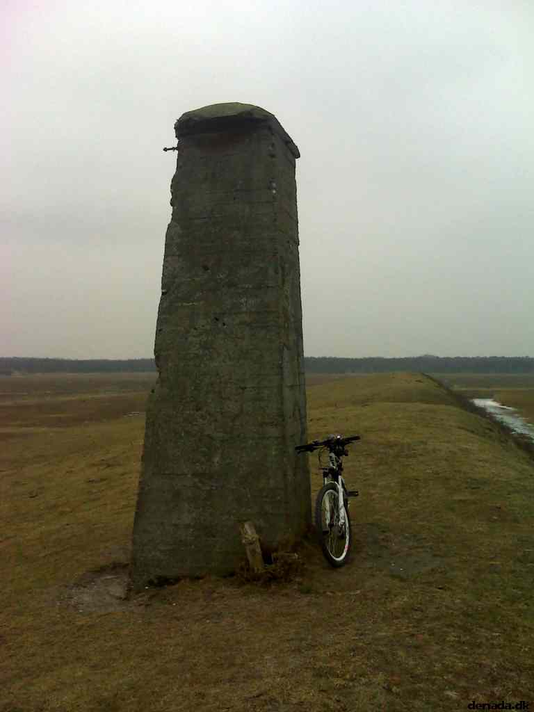 * Image 6