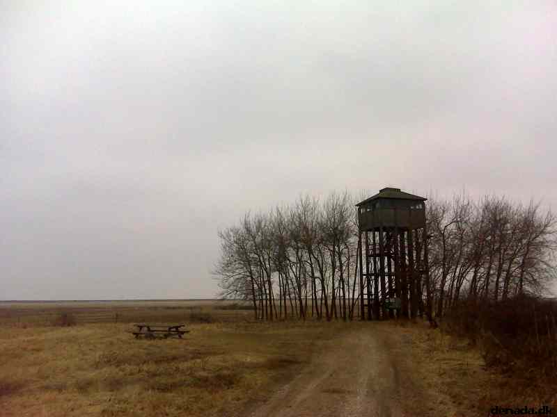 * Image 8
