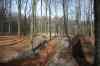201103060015m.jpg - 2011:03:06 11:39:43