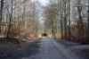 201103060023m.jpg - 2011:03:06 11:55:02