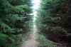 201103060025m.jpg - 2011:03:06 11:59:57