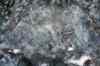 201103060042m.jpg - 2011:03:06 13:19:01
