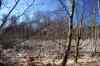 201103060046m.jpg - 2011:03:06 13:22:42