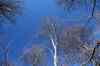 201103060057m.jpg - 2011:03:06 13:37:38