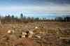 201103060072m.jpg - 2011:03:06 14:48:05