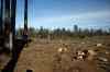 201103060073m.jpg - 2011:03:06 14:48:12