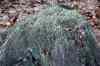 201103060081m.jpg - 2011:03:06 15:28:44