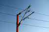 201103060091m.jpg - 2011:03:06 16:25:54
