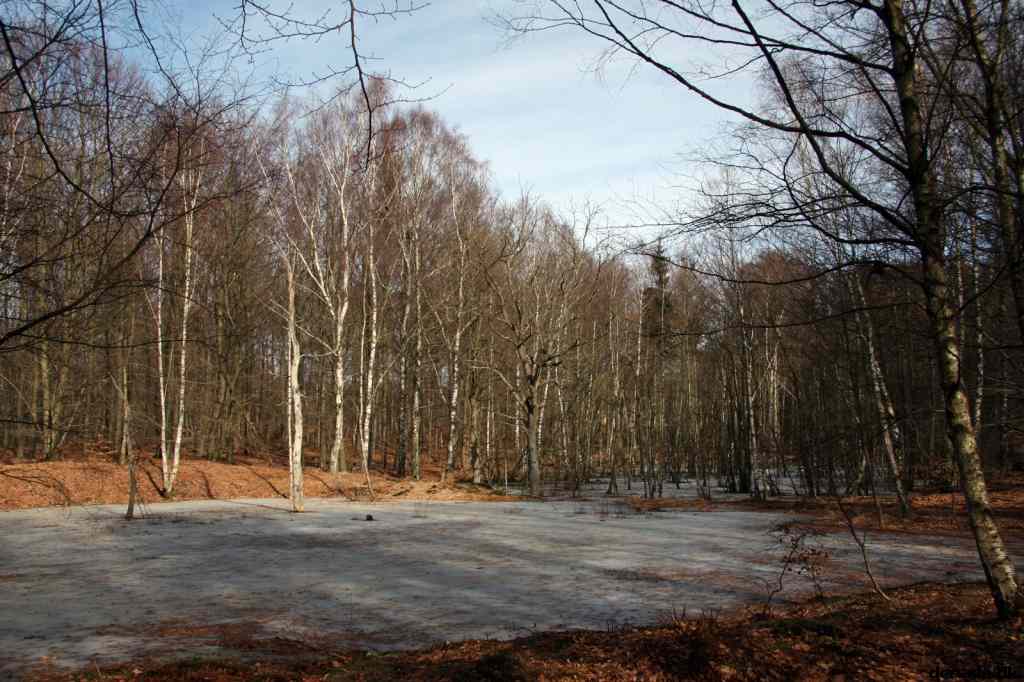 * Image 11