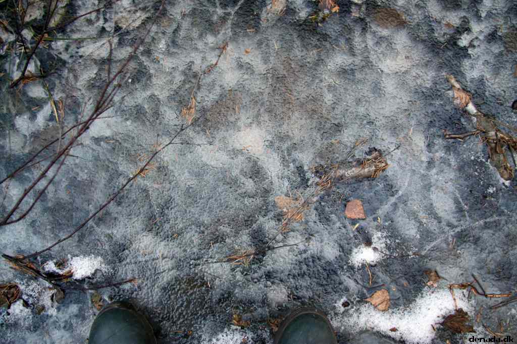 * Image 33