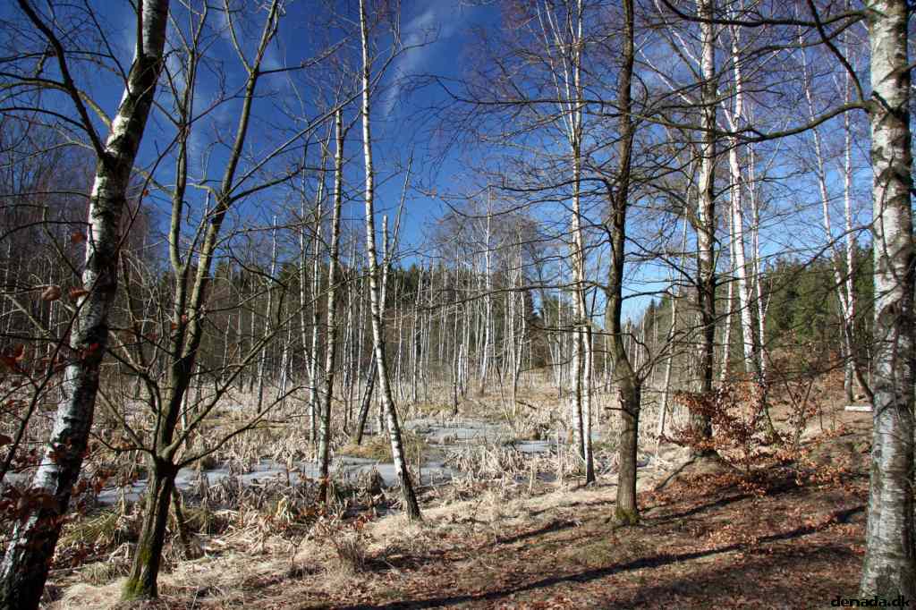 * Image 36