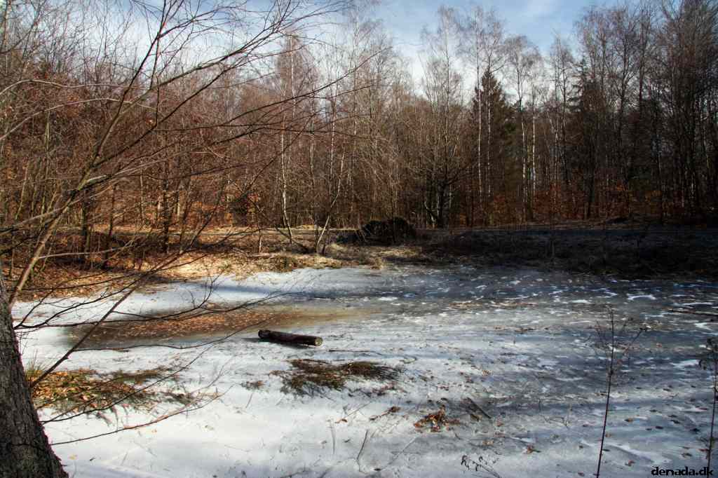 * Image 50