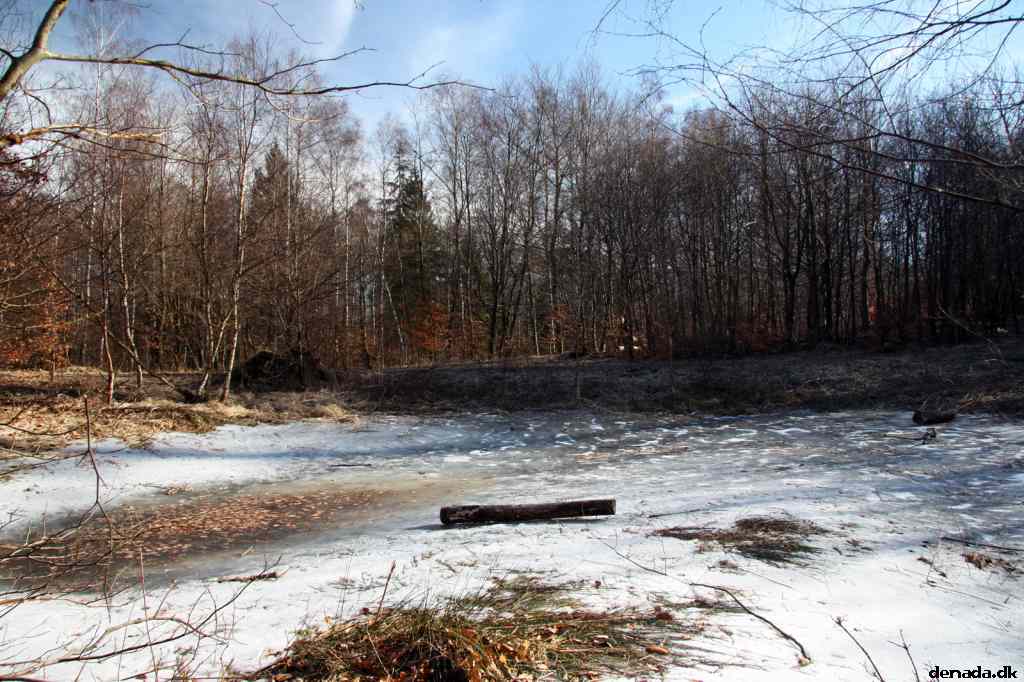 * Image 51