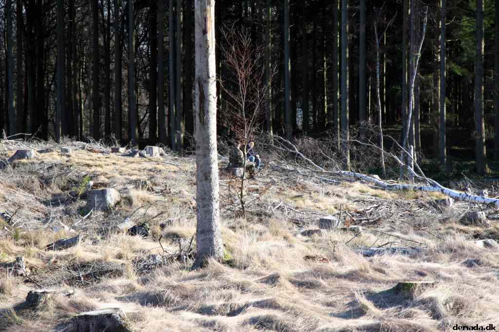 * Image 59