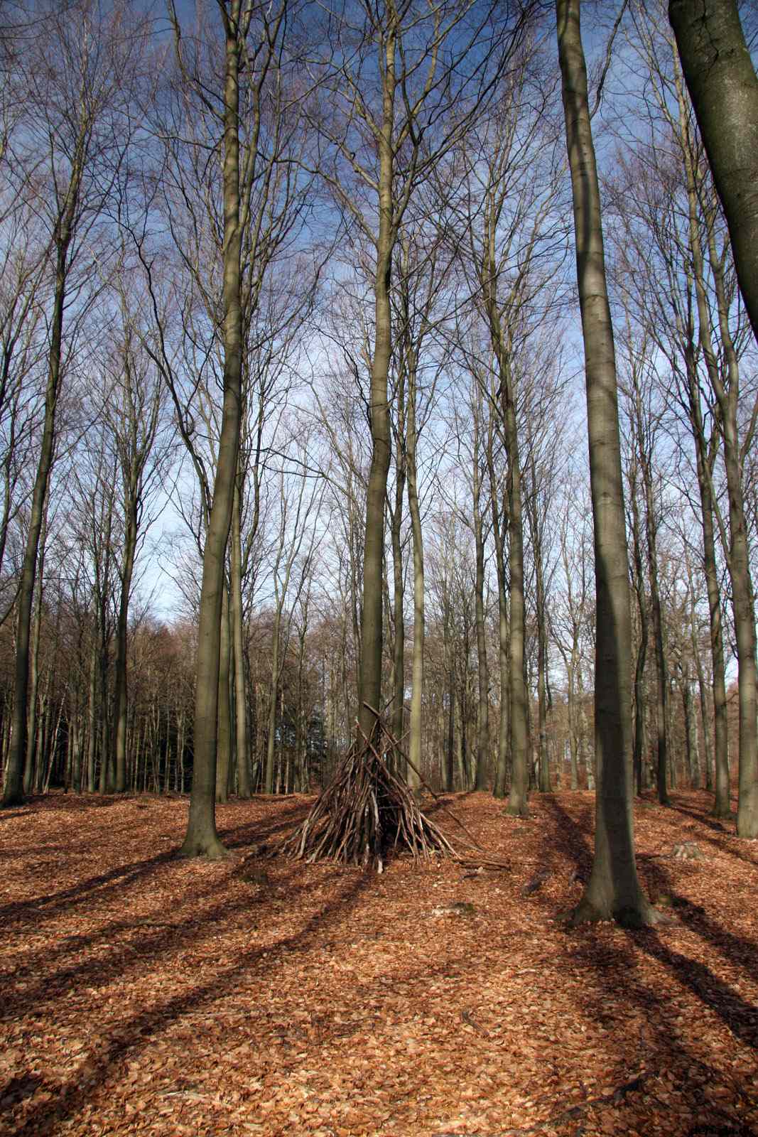 * Image 16