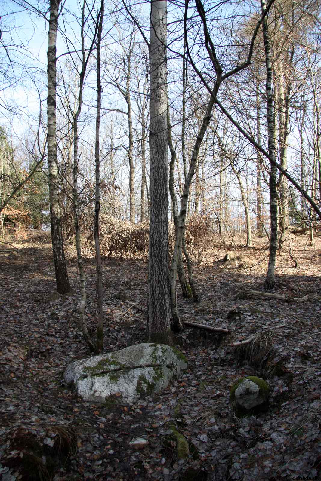 * Image 23