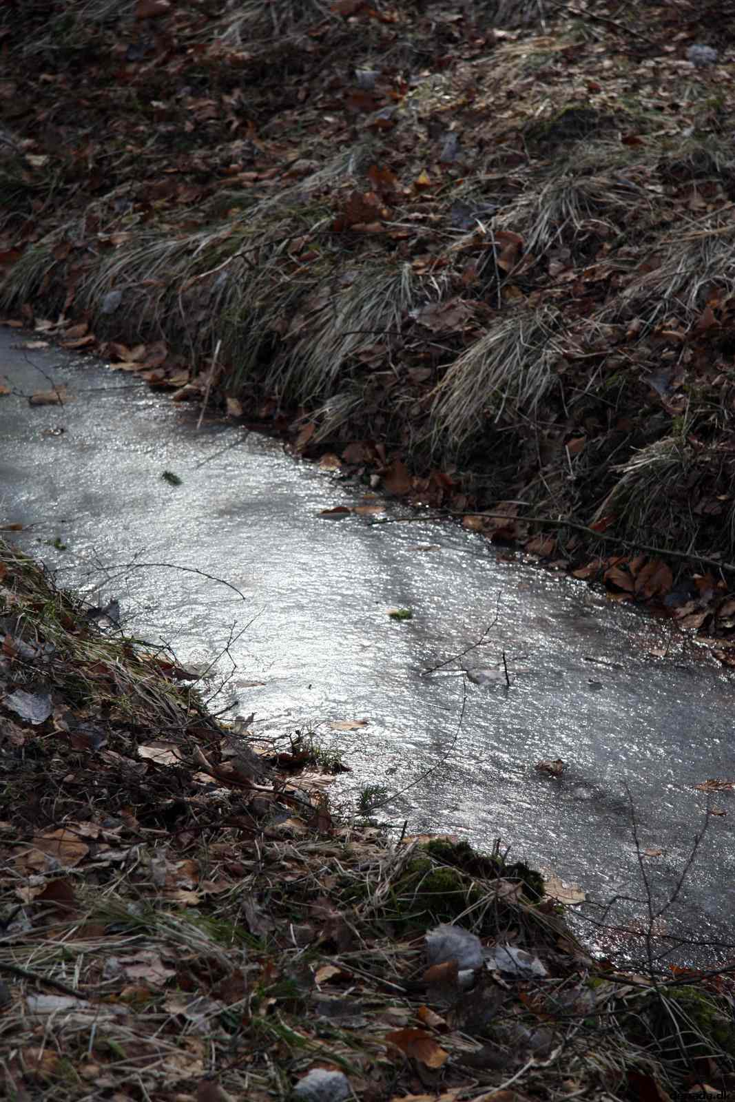* Image 24