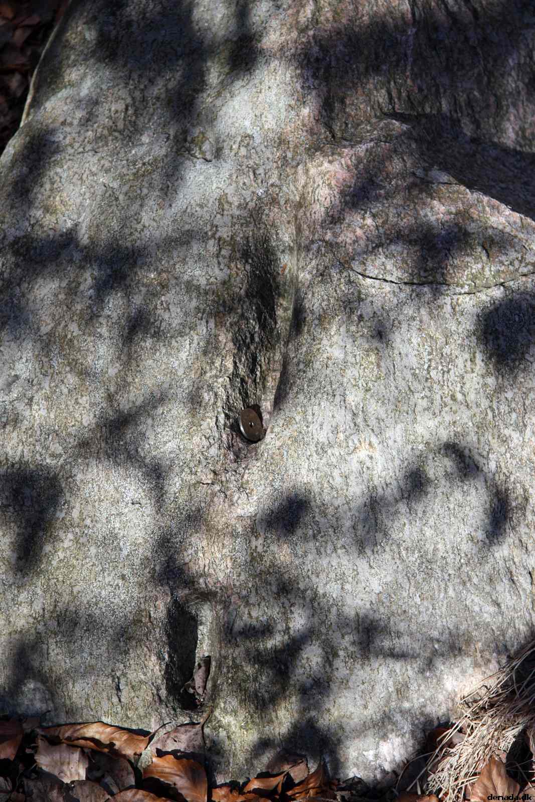 * Image 48