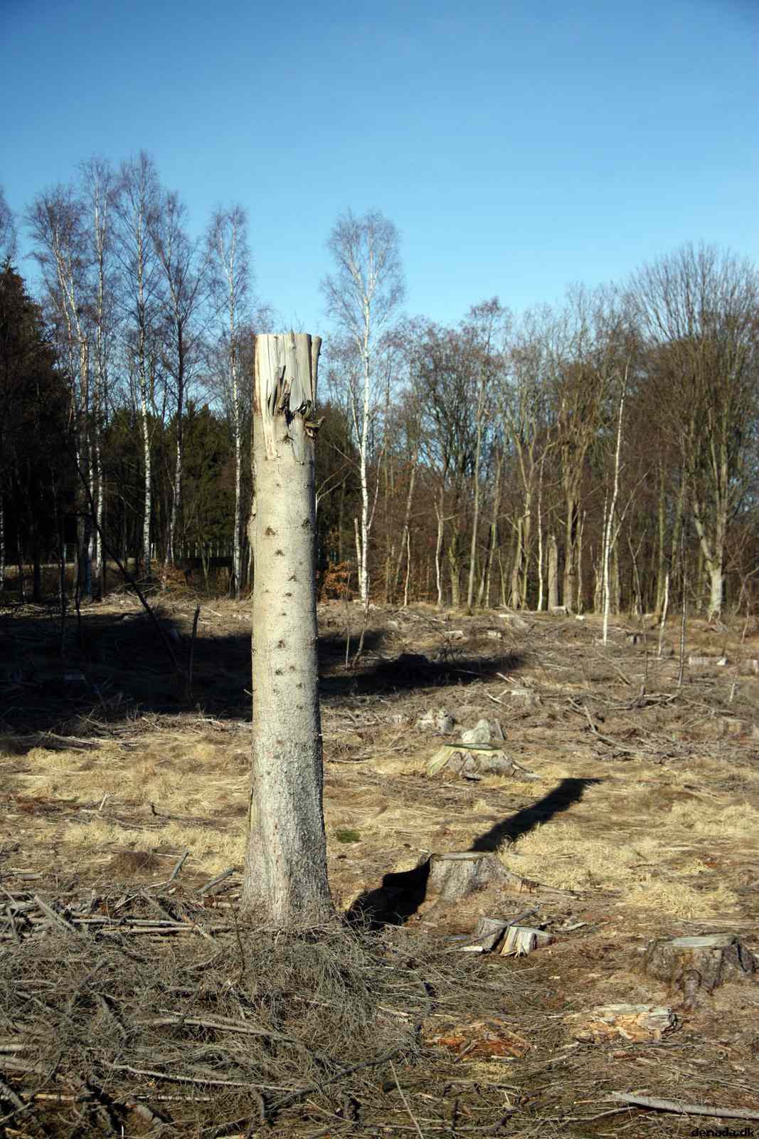 * Image 57