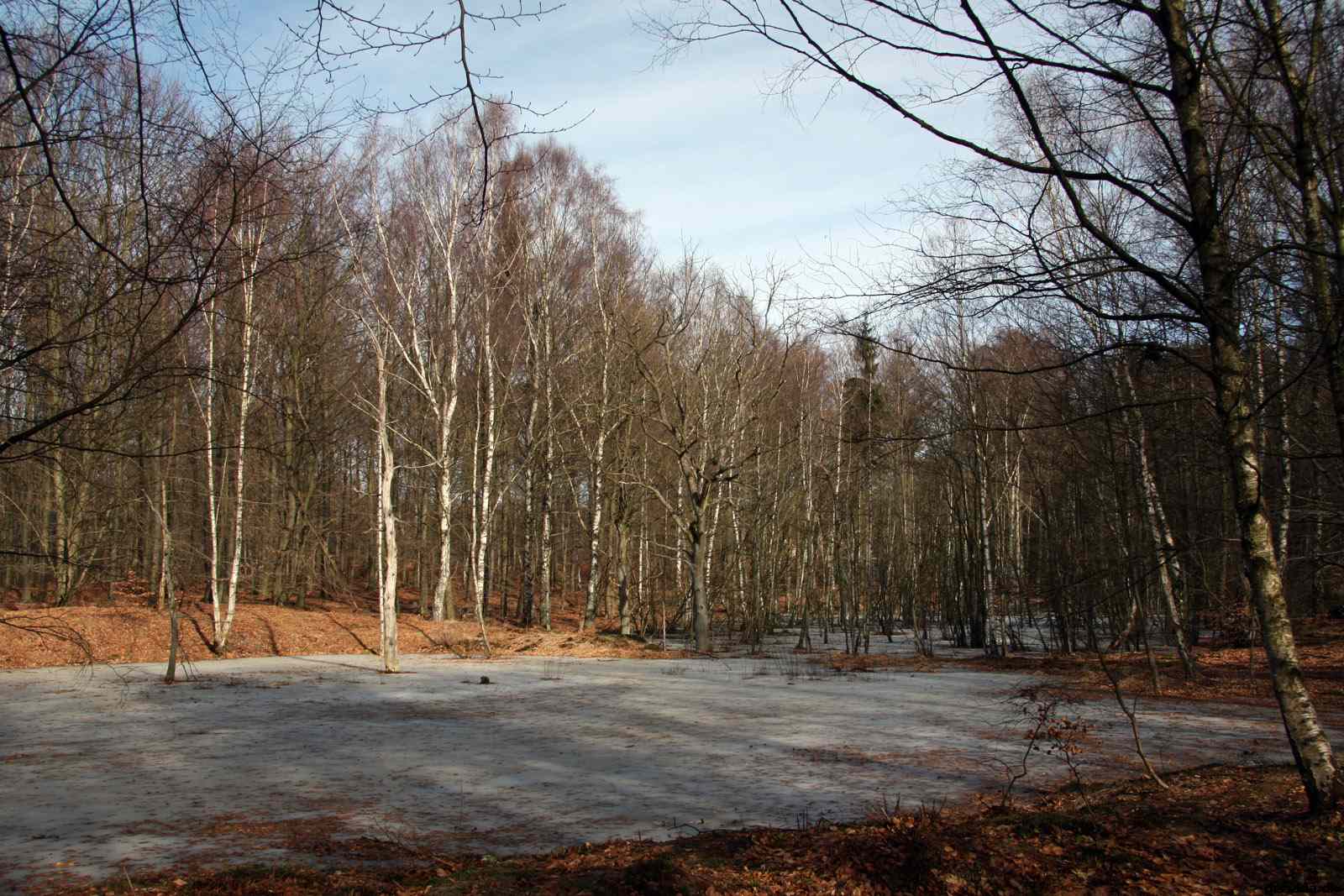 * Image 11