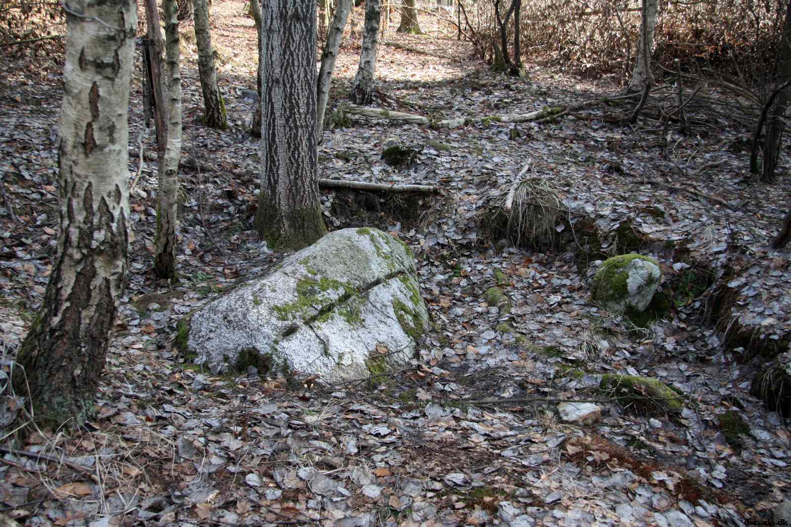 * Image 22