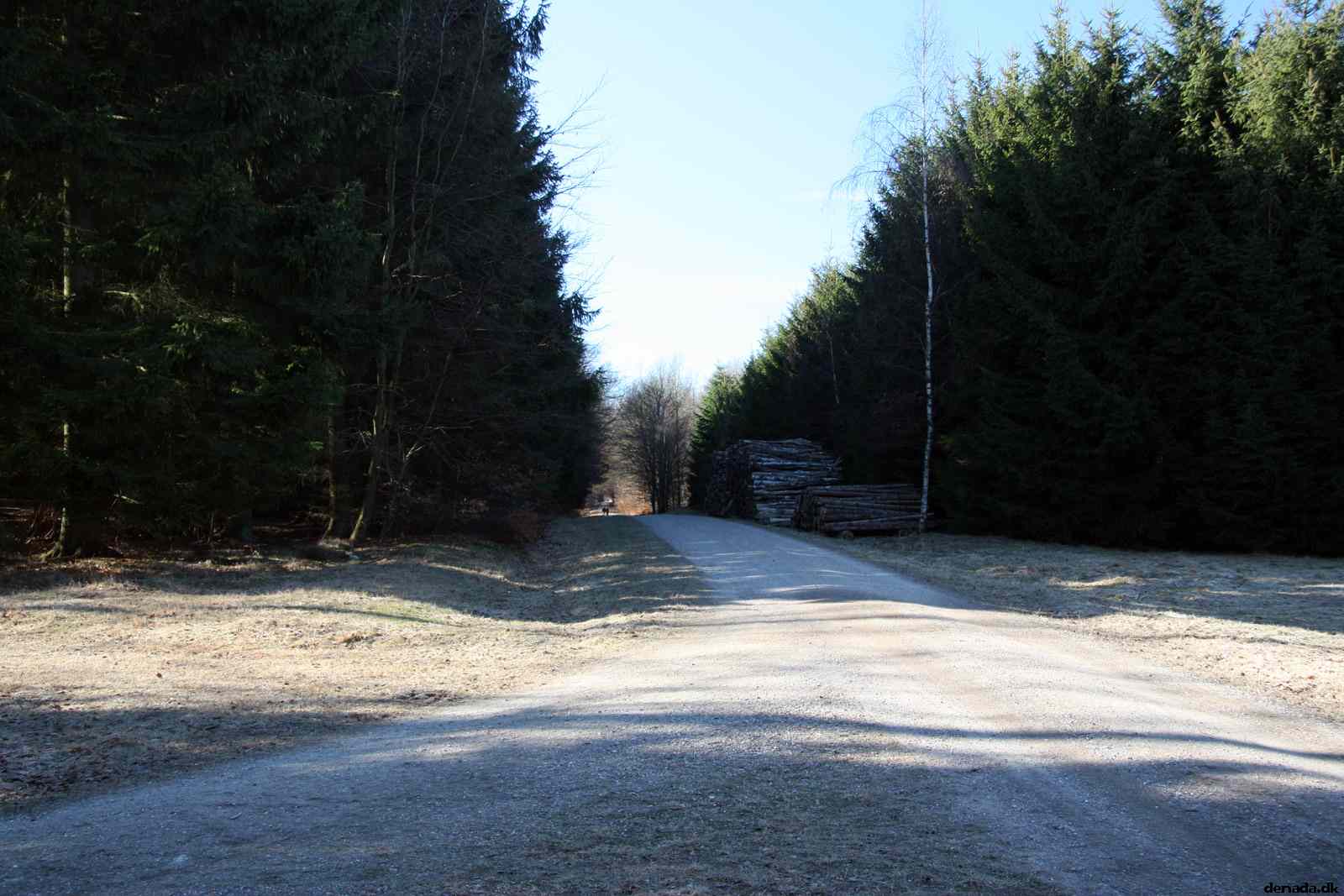 * Image 28